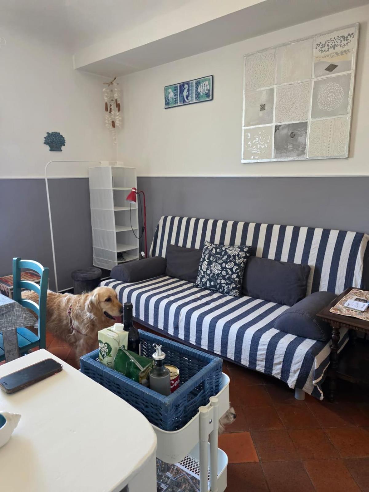The Shell - New Interior Look But Same Old Charme 200Mt From The Sea With Garden And Parking Nearby Apartment Imperia Bagian luar foto