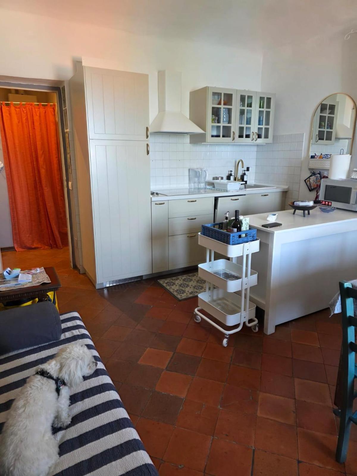 The Shell - New Interior Look But Same Old Charme 200Mt From The Sea With Garden And Parking Nearby Apartment Imperia Bagian luar foto